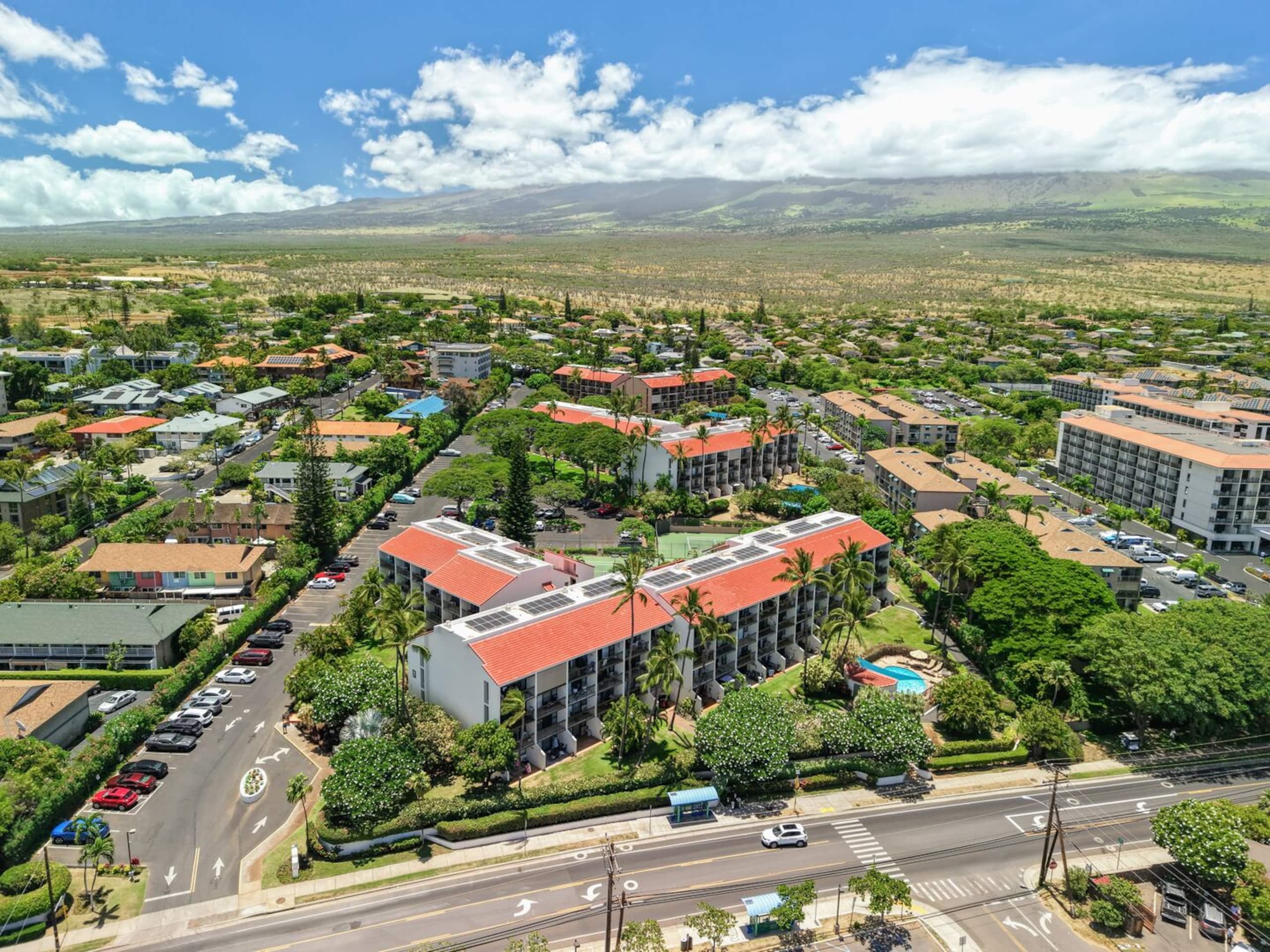 Maui Vista 3312 - 1 BR/1 BA near Beach - Photo 46
