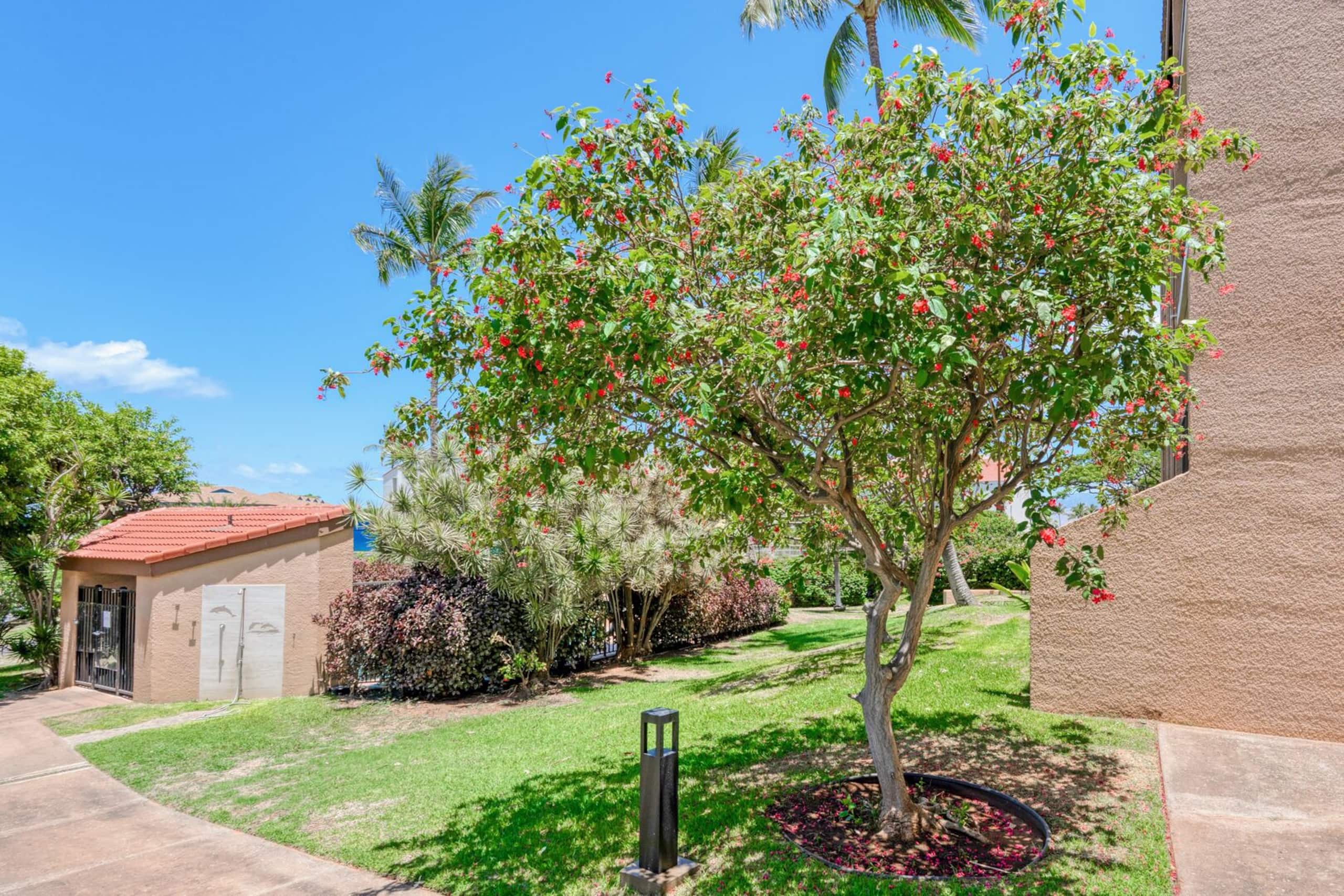 Maui Vista 3312 - 1 BR/1 BA near Beach - Photo 27