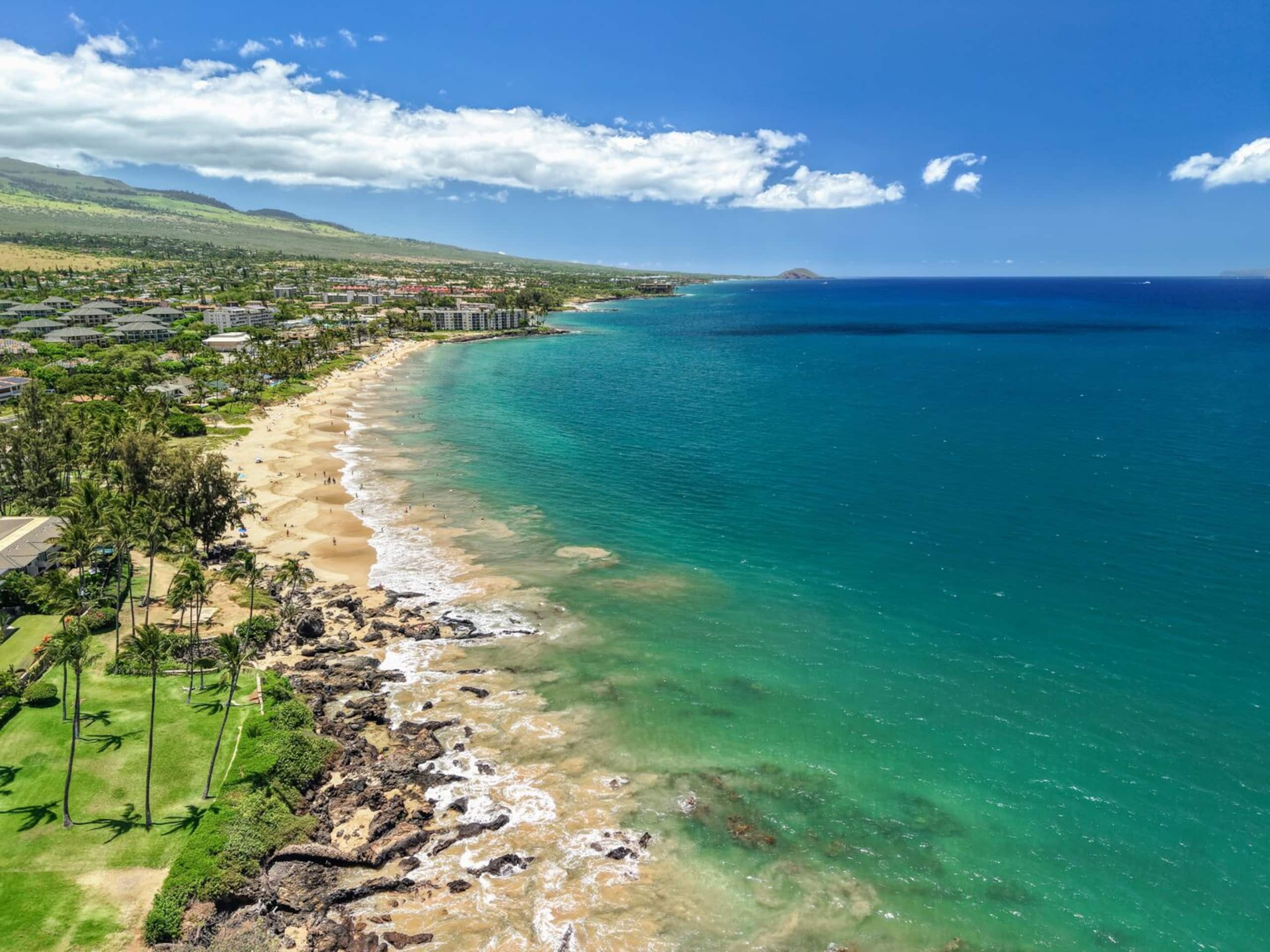 Maui Vista 3312 - 1 BR/1 BA near Beach - Photo 44