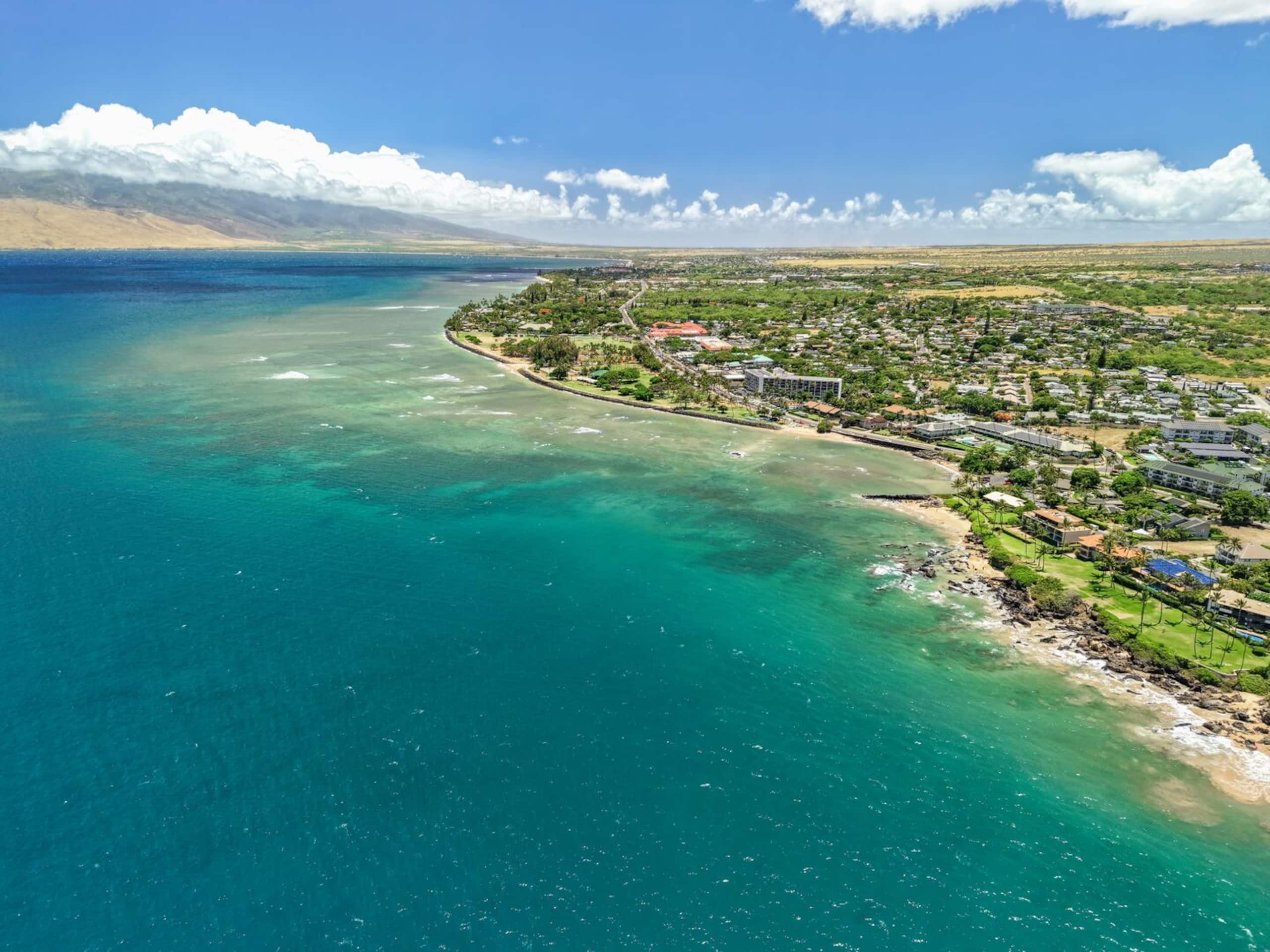 Maui Vista 3312 - 1 BR/1 BA near Beach - Photo 41