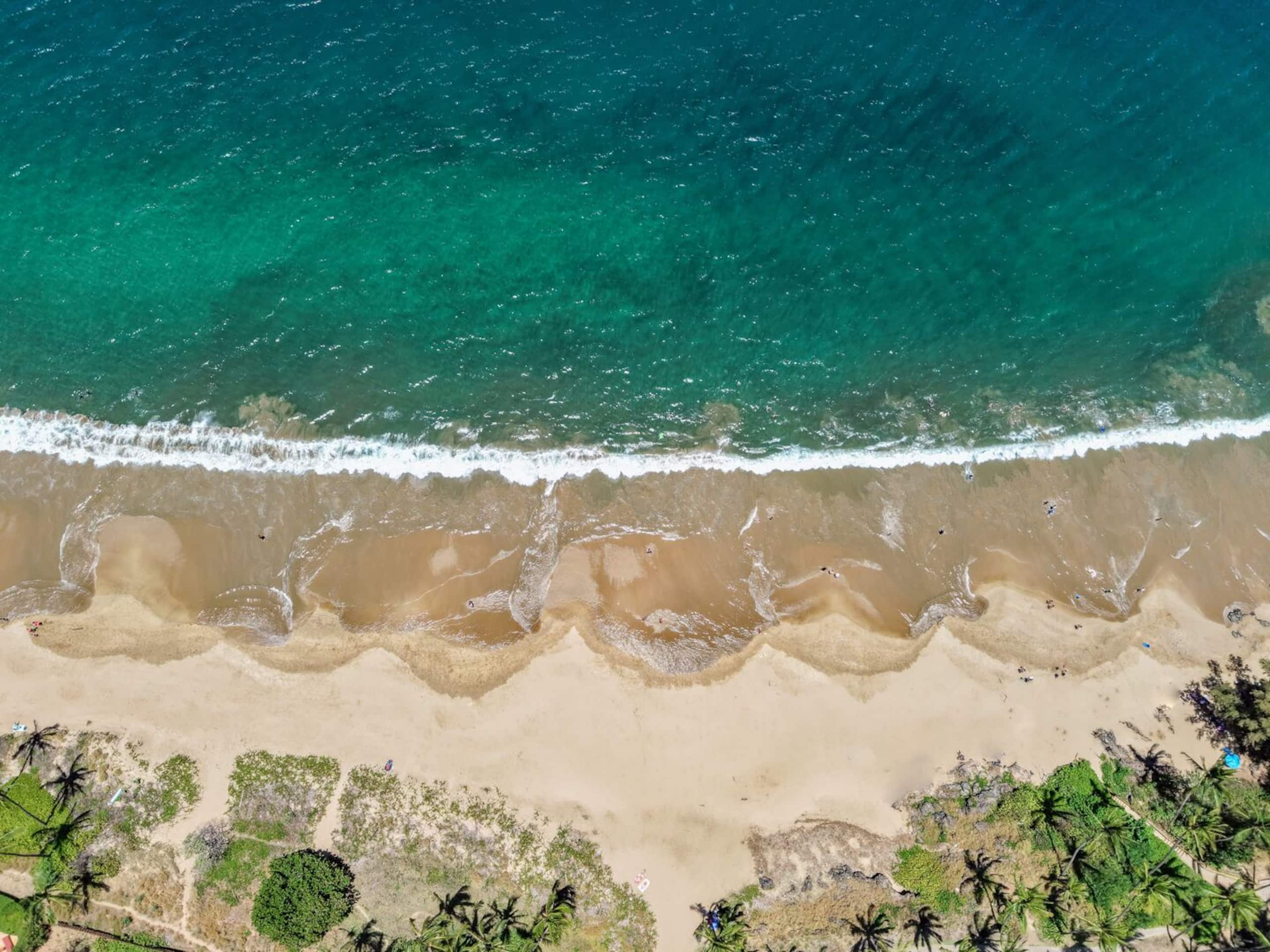 Maui Vista 3312 - 1 BR/1 BA near Beach - Photo 40
