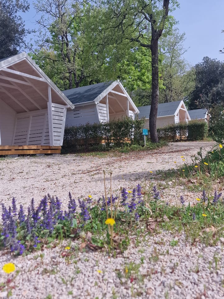Fkk Adriatika In Naturist Resort Fkk Solaris - Novigrad