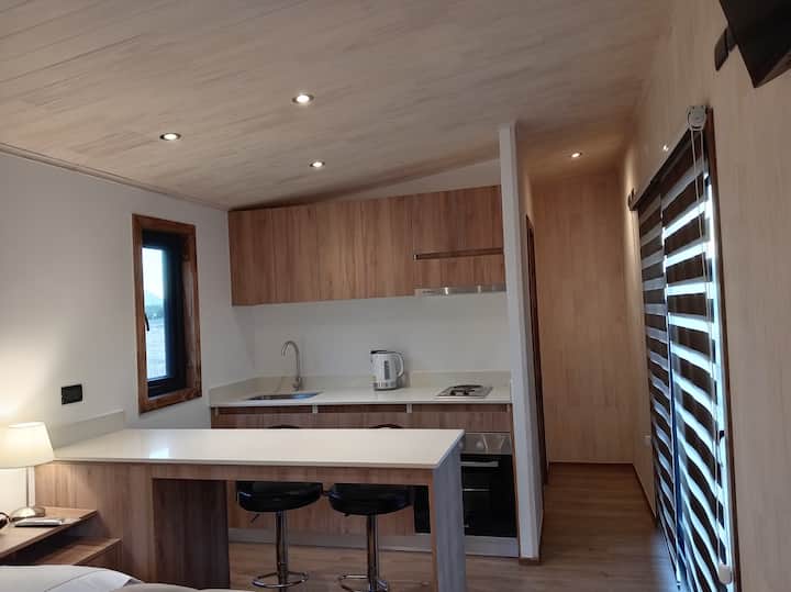 Cabañas Aurata
Lujo Y Naturaleza En Armonía - Los Andes