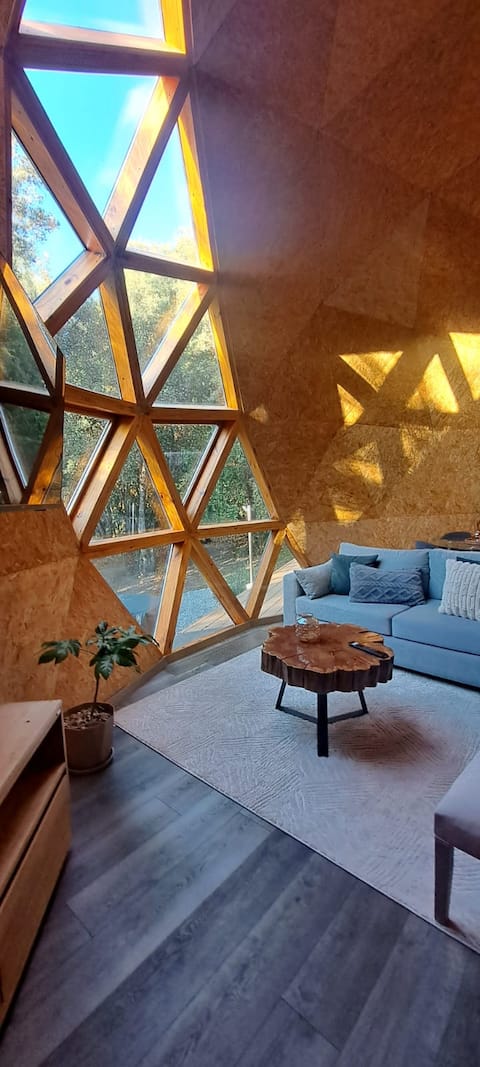 Domo Bosque • Comfort and Connectivity