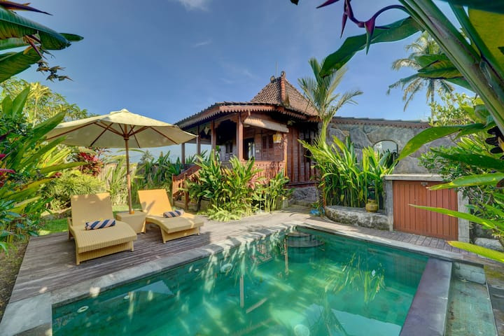 Gedong Batu Private Pool Villa Near Ubud - Bali