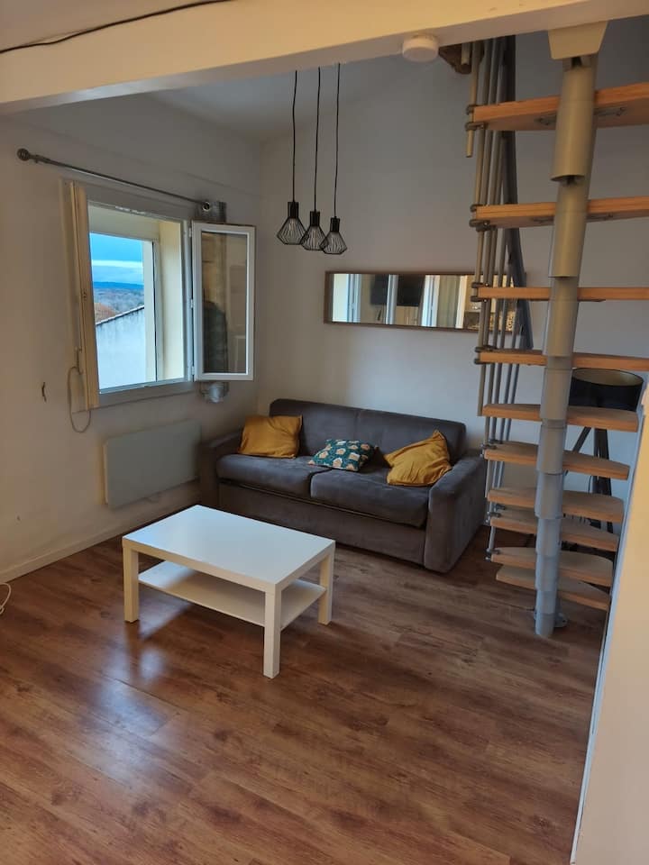 Appartement Saint Paul Durance à 4 Minutes Du Cea - Cadarache