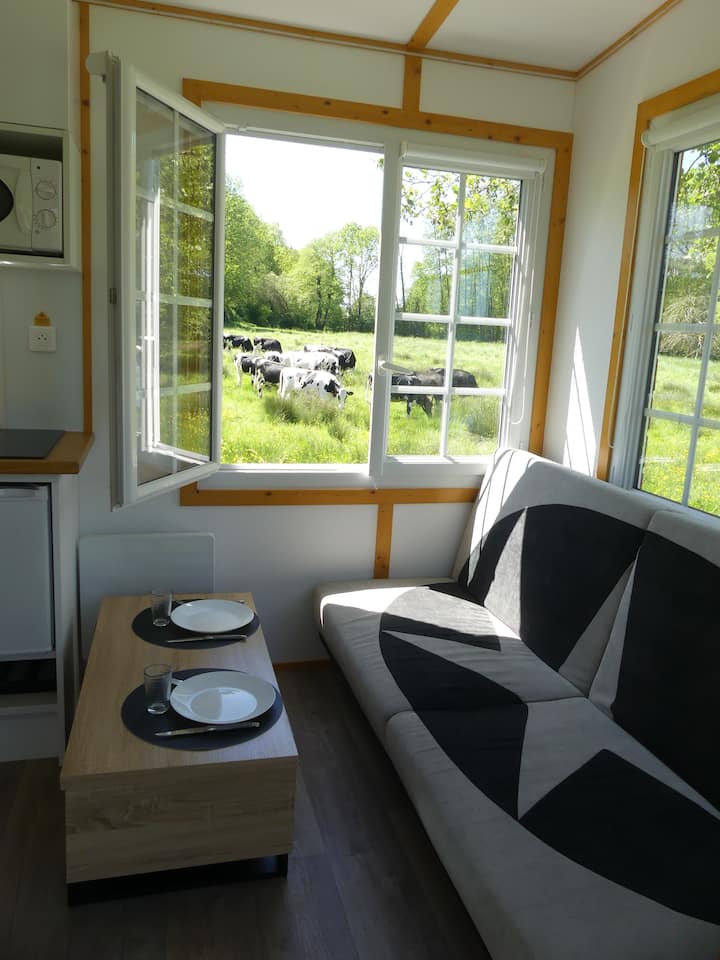 Tiny House Au Bord De L'eau - 中央