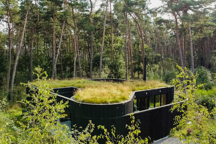 Zwarte Zwaan · Designhuis In Het Bos Met Hottub - Lille