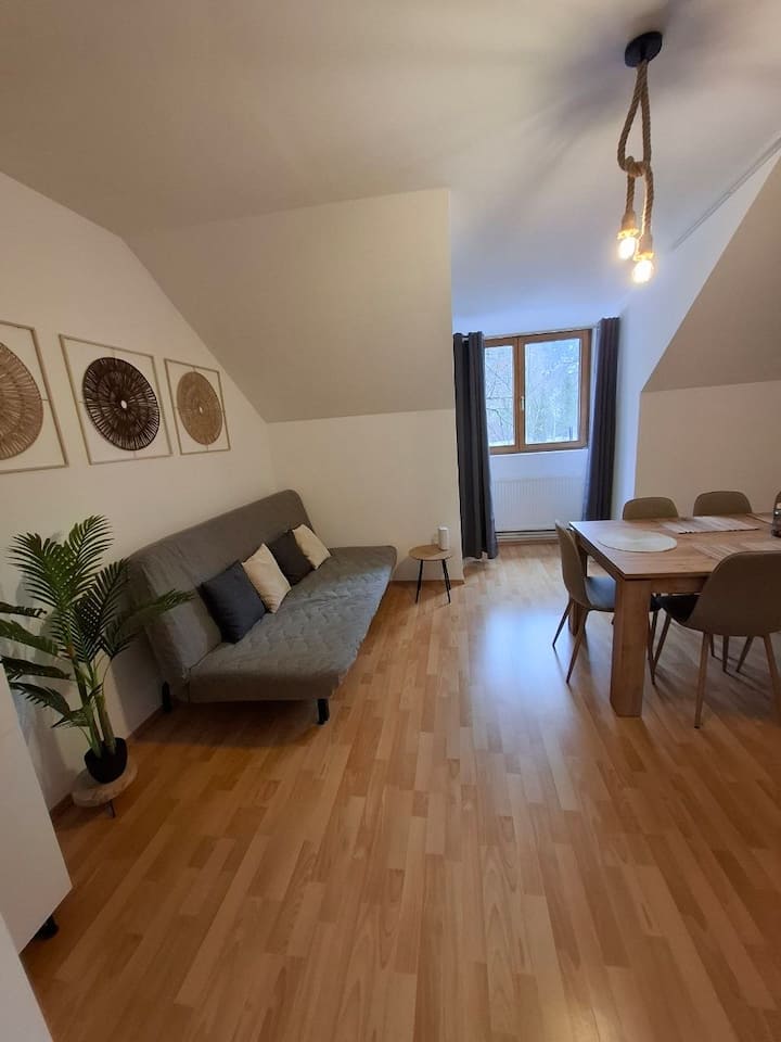 Apartment - Self Check-in, Near Ski Area - Puchberg am Schneeberg