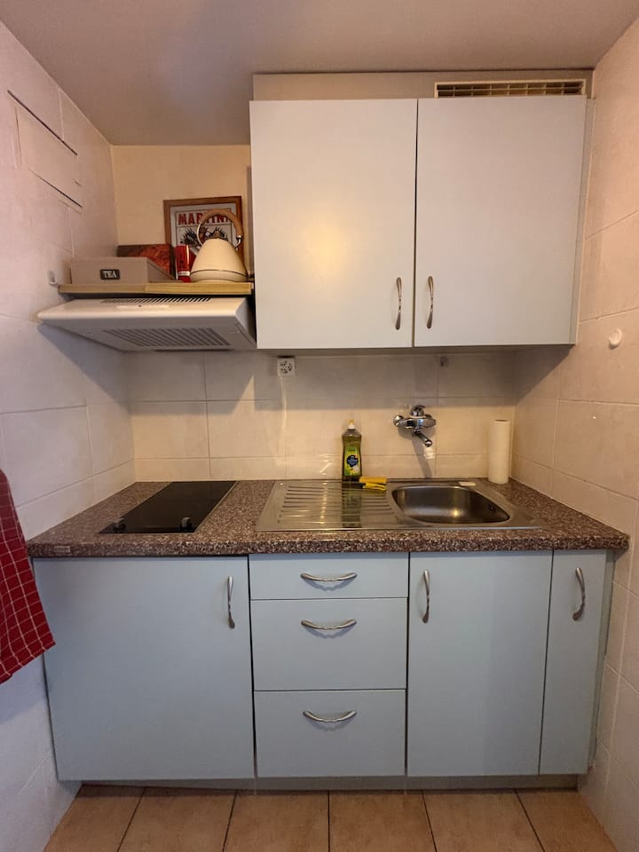 Charmant Studio Au Coeur De Morgins - Val-d'Illiez