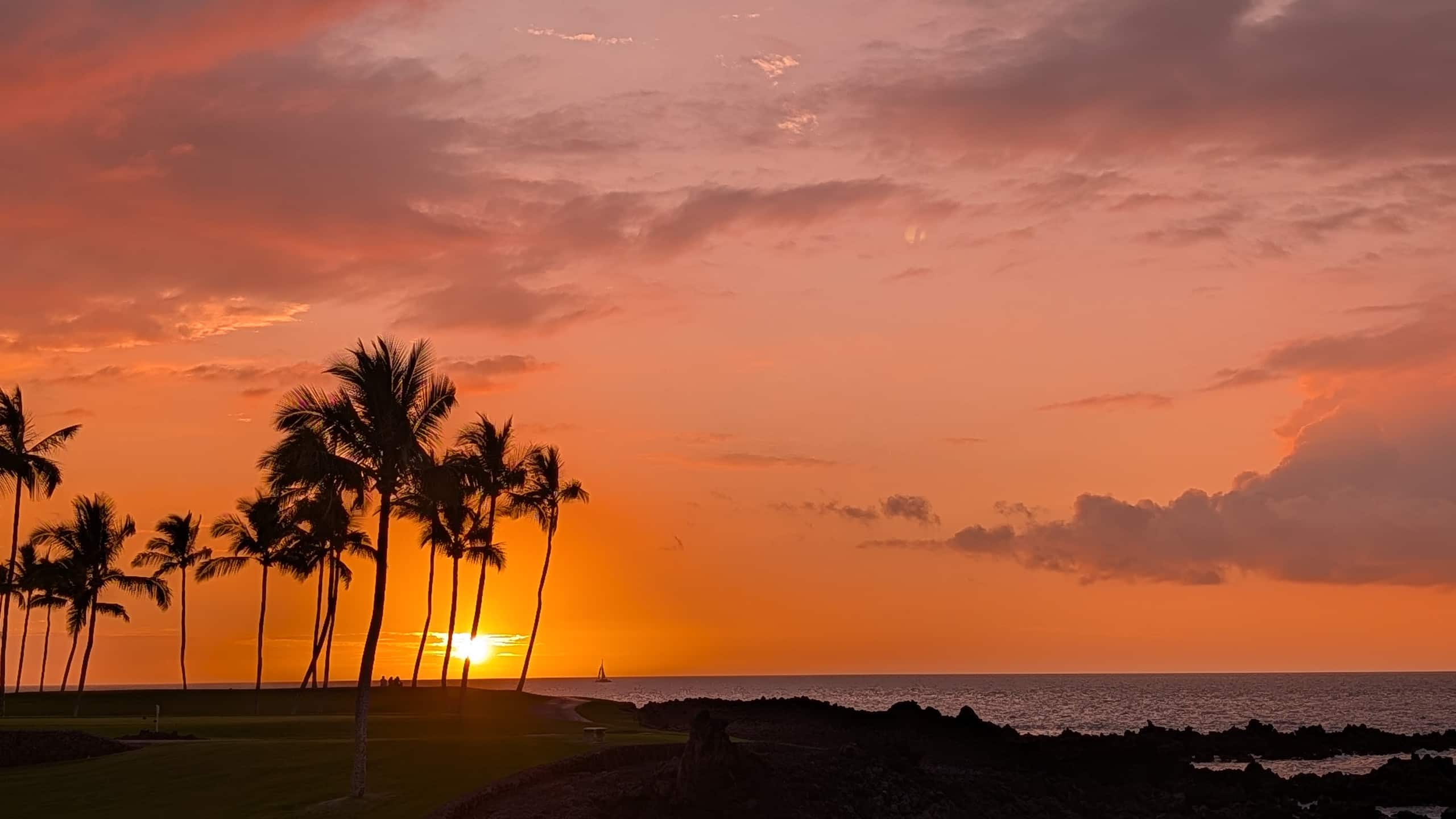 Condo in Waimea · ★5.0 · 3 bedrooms · 6 beds · 2 baths - Image 87