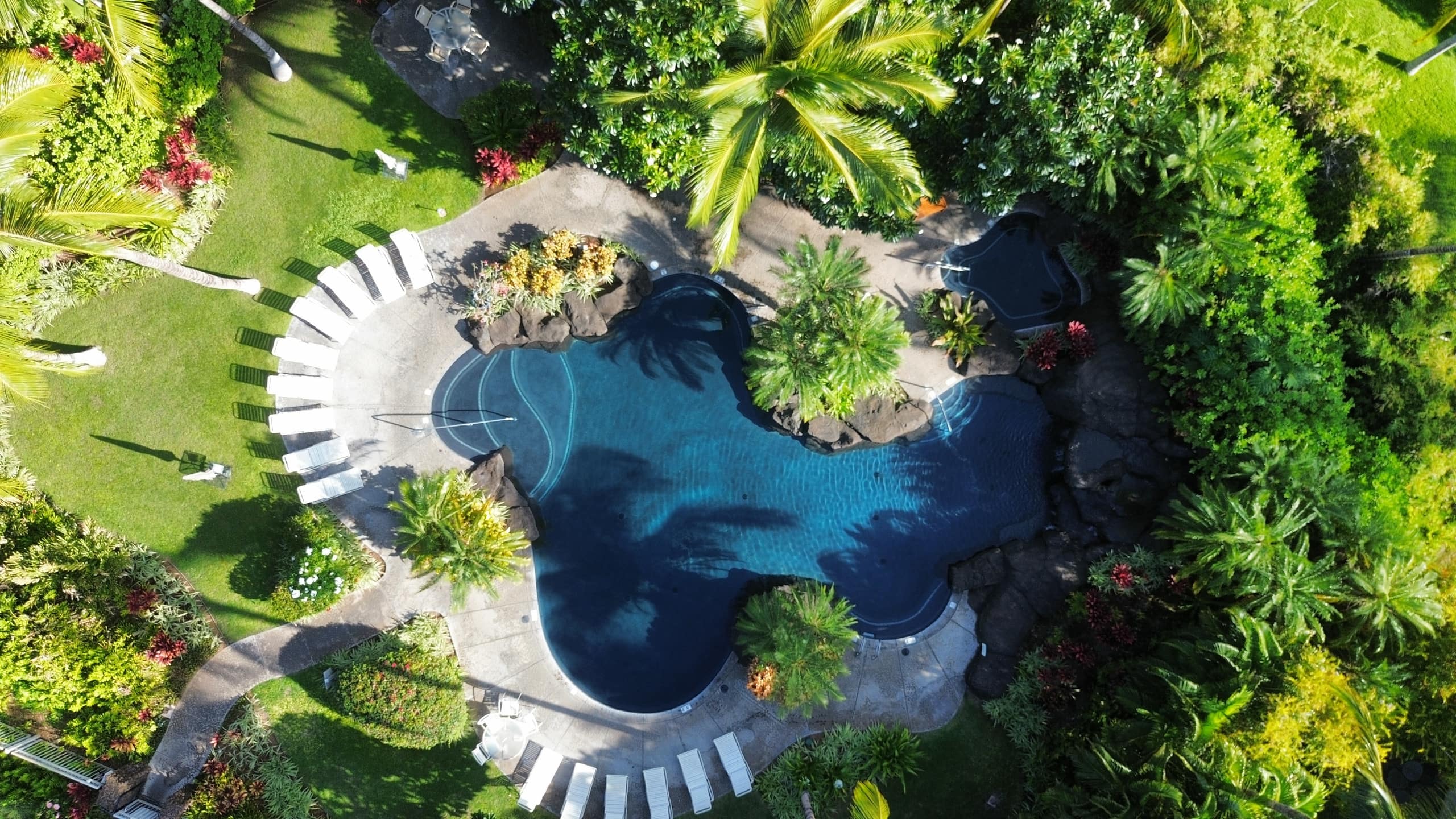 Condo in Waimea · ★5.0 · 3 bedrooms · 6 beds · 2 baths - Image 123