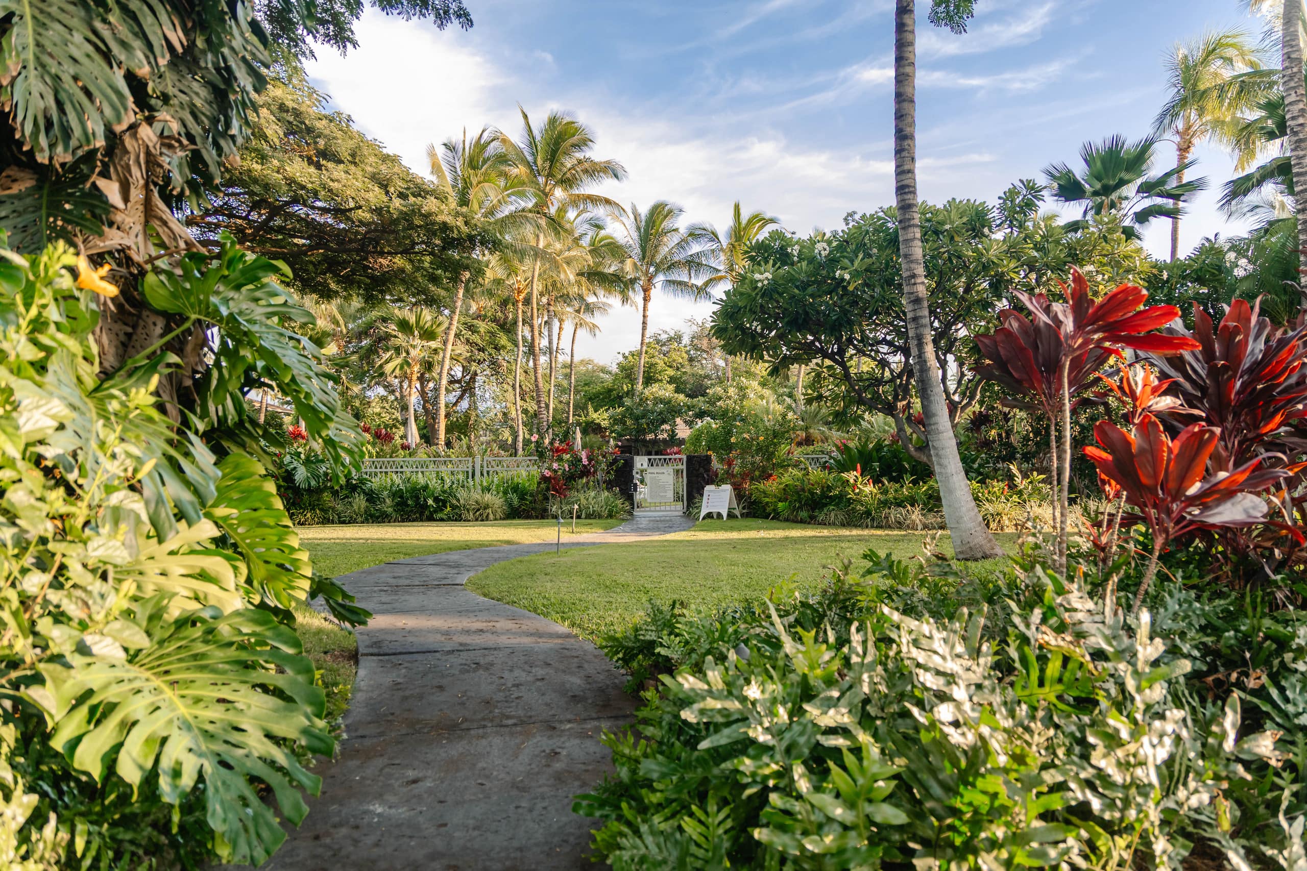 Condo in Waimea · ★5.0 · 3 bedrooms · 6 beds · 2 baths - Image 108