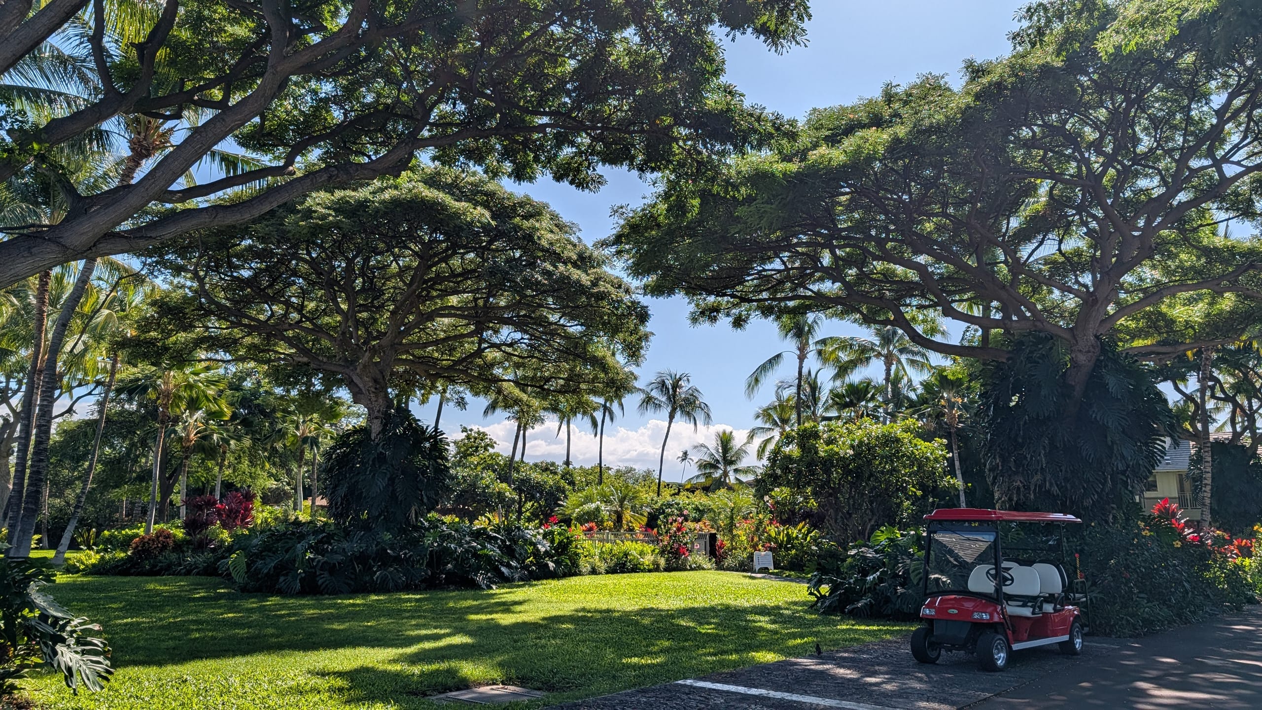 Condo in Waimea · ★5.0 · 3 bedrooms · 6 beds · 2 baths - Image 103