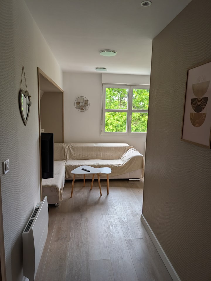 Charmant 3 Pièces Au Calme Strasbourg - Schiltigheim