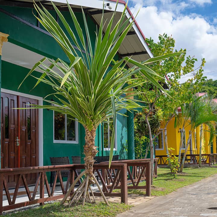 Dd Amazonica Bungalows (C) - Paramaribo