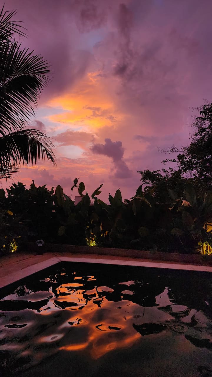 Whether you're taking a leisurely dip or simply lounging by the water, this peaceful setting lets you experience nature at its fullest.