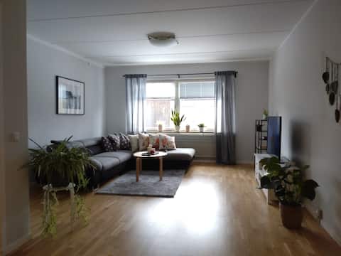 Successful Airbnb property: Spacious apt sleeps 5 near ESS, MAX IV & Ideon in Lund