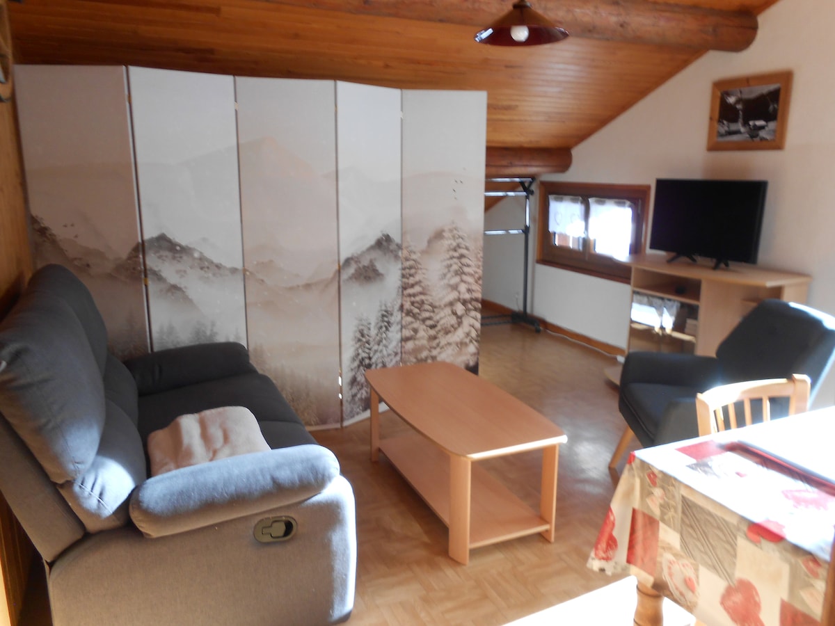 Airbnb performant: Morzine apartment – Avoriaz ski area – 3 people à Morzine