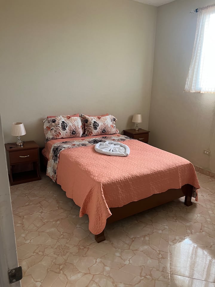 Darlouis Hotel - 海地