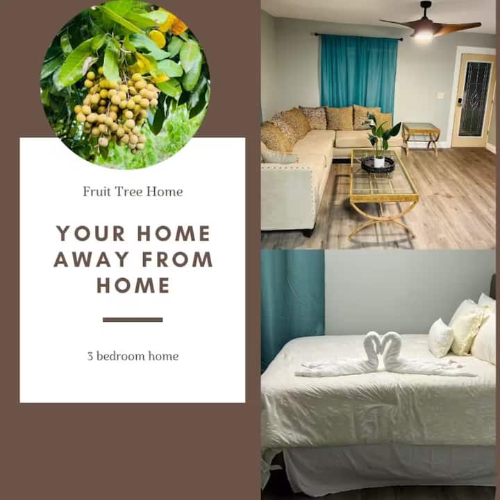 غرفة المعيشة