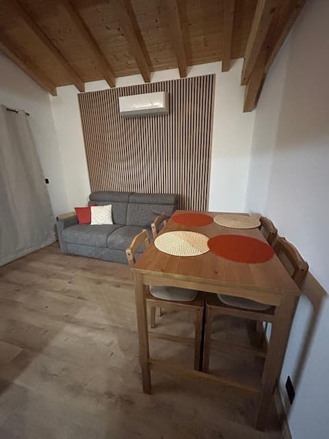 Top performing Airbnb: 1-bedroom apartment close to iconic ski resorts and mountain passes in Grand Aigueblanche