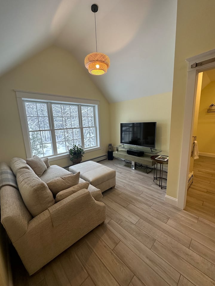Luxury Loft Full Apartment - Maine