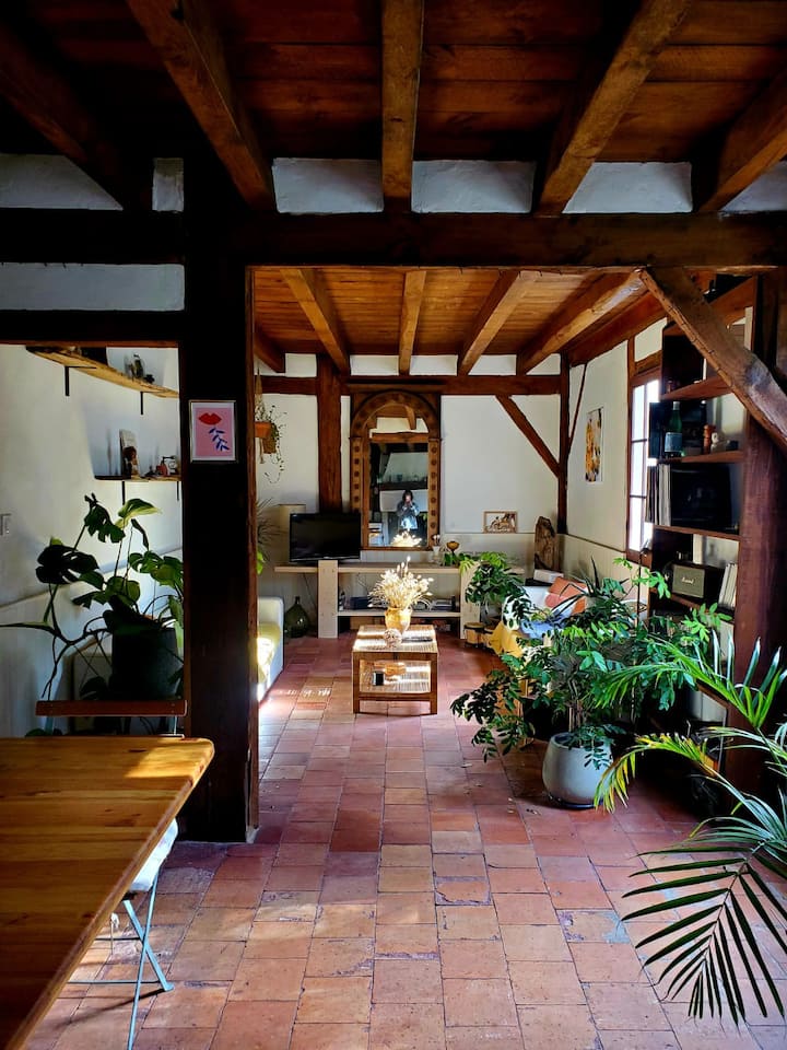 Petite Maison Typique Landaise - Mézos