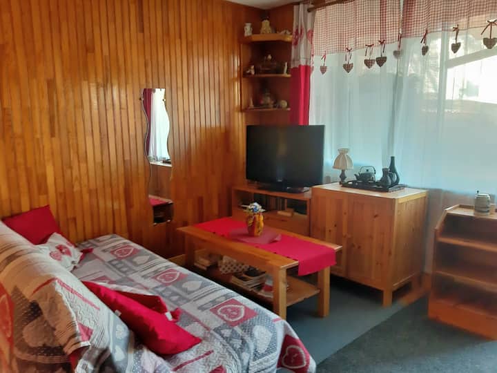 Joli Appartement Près Des Pistes - Saint-Léger-les-Mélèzes