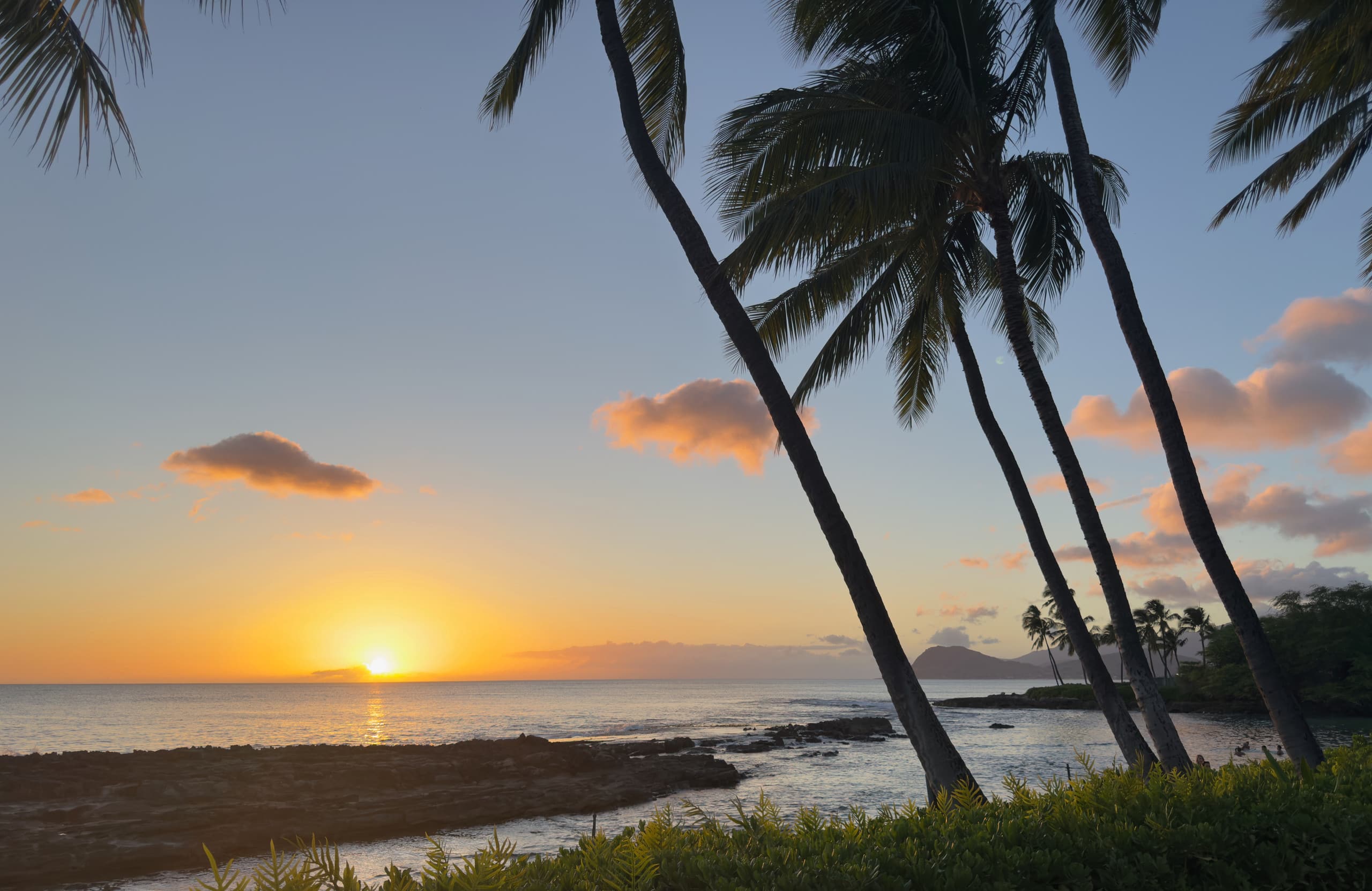 Resort in Honolulu · ★5.0 · 1 bedroom · 2 beds · 1 private bath - Image 60