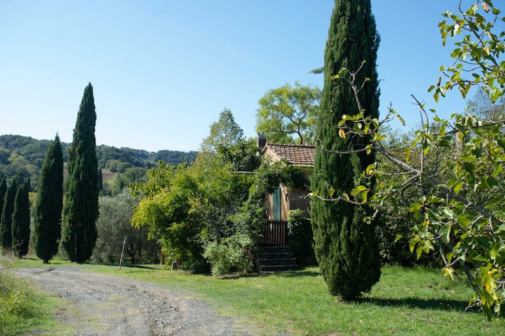 Sonnellino - Appartamento In Casolare Toscano - Bibbona