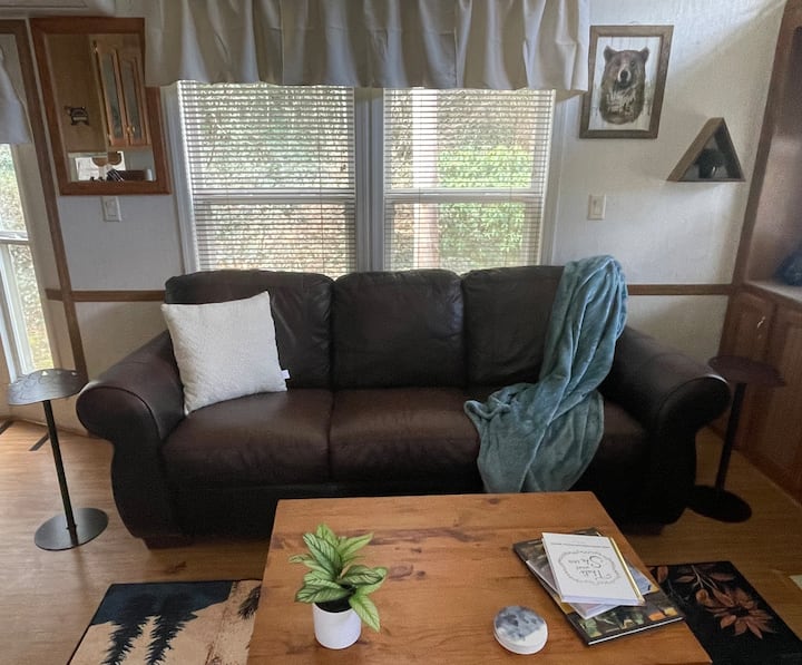 Bear-y Cozy Riverfront Home - Sylva, NC