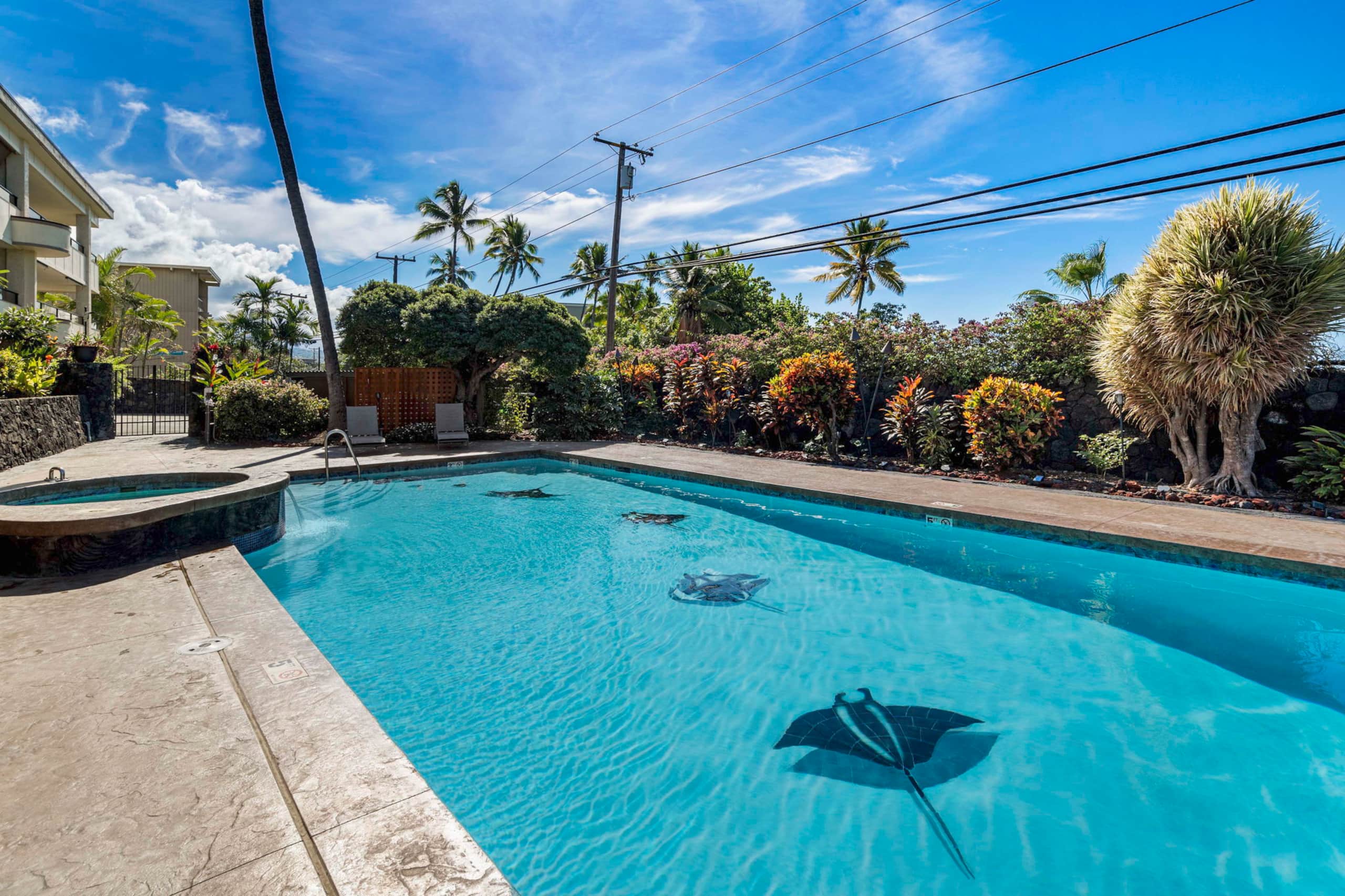Fabulous Oceanview 2/2 Condo w/Central A/C In Kona - Image 41