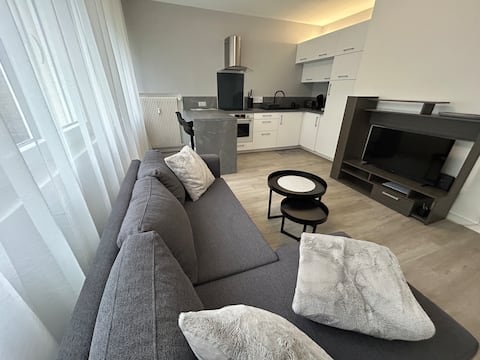 Top performing Airbnb: Le 3C Apartment Belfort (no smoking) in Belfort