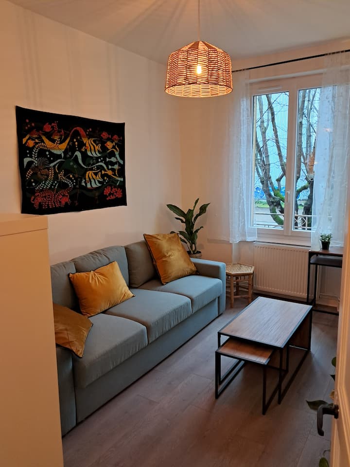 Appartement Centre-ville 42 M2 - Clermont-Ferrand