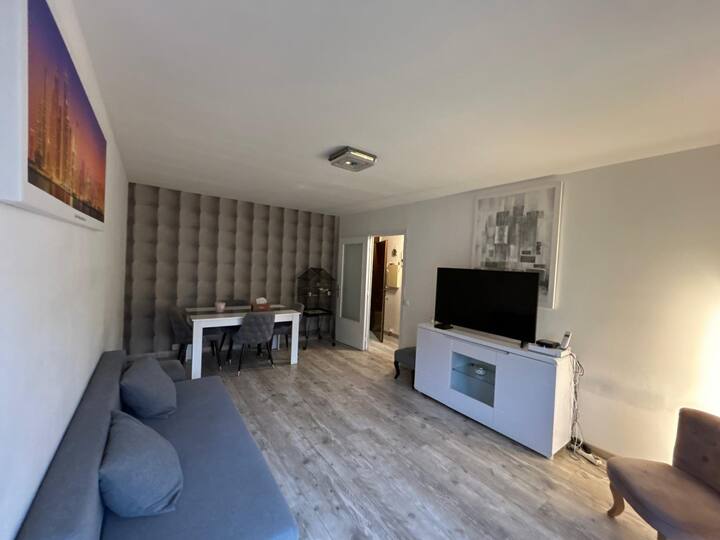 Charmant T2 Central Avec Parking - Annemasse