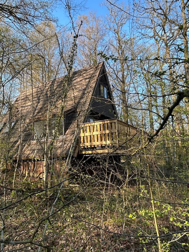 Chalet 42 - Buggywood - Durbuy