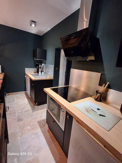 Successful Airbnb property: Charming quiet independent two-room apartment with terrace in Cher