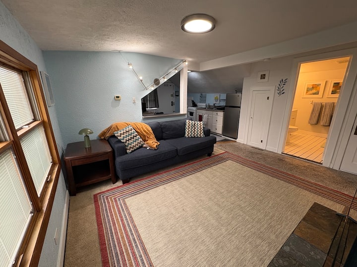 Bright & Cozy 1br Apt By Msu, Sparrow, Quiet Area - East Lansing, MI