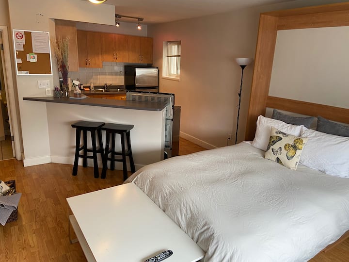 Inviting Downtown Studio In Winnipeg - Winnipeg