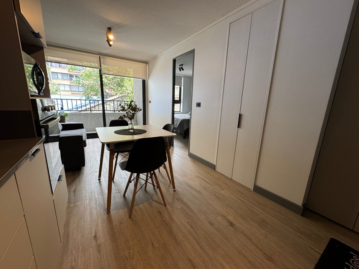 Apartamento nuevo en Santiago Centro - Apartamentos en alquiler en ...