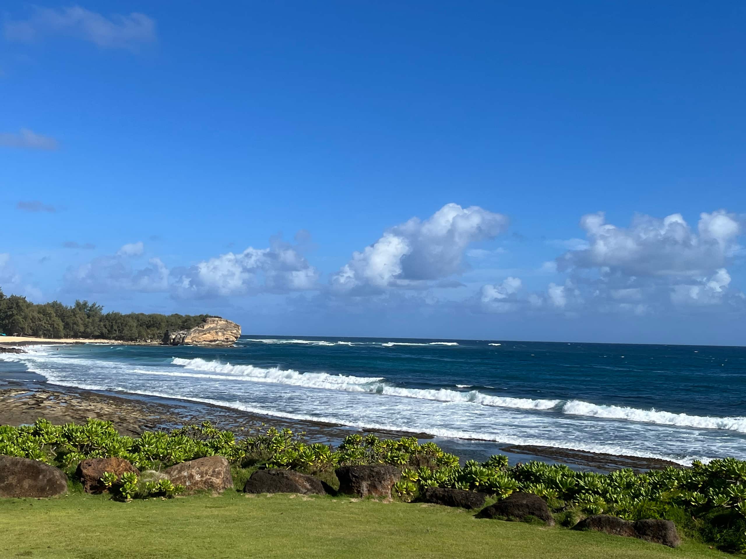 New! Studio Suite with Pool by Beach with AC - Photo 7