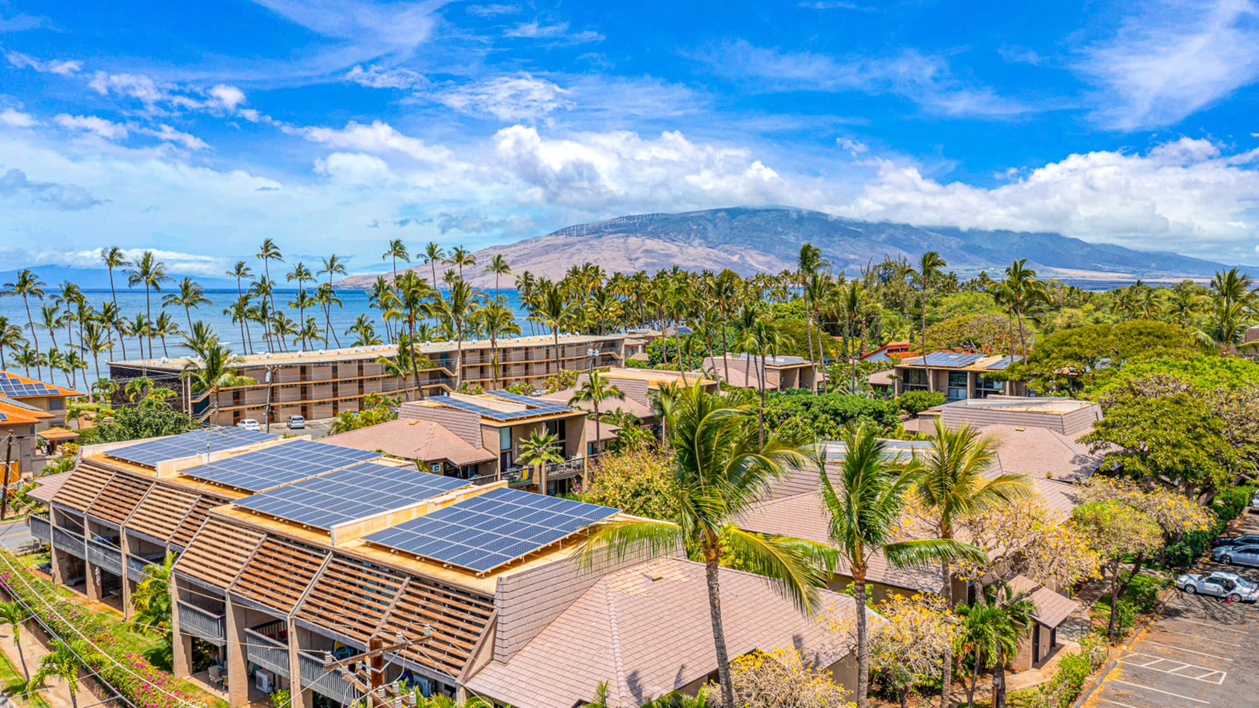 Condo in Kihei · ★4.89 · 1 bedroom · 1 bed · 1 bath - Image 25