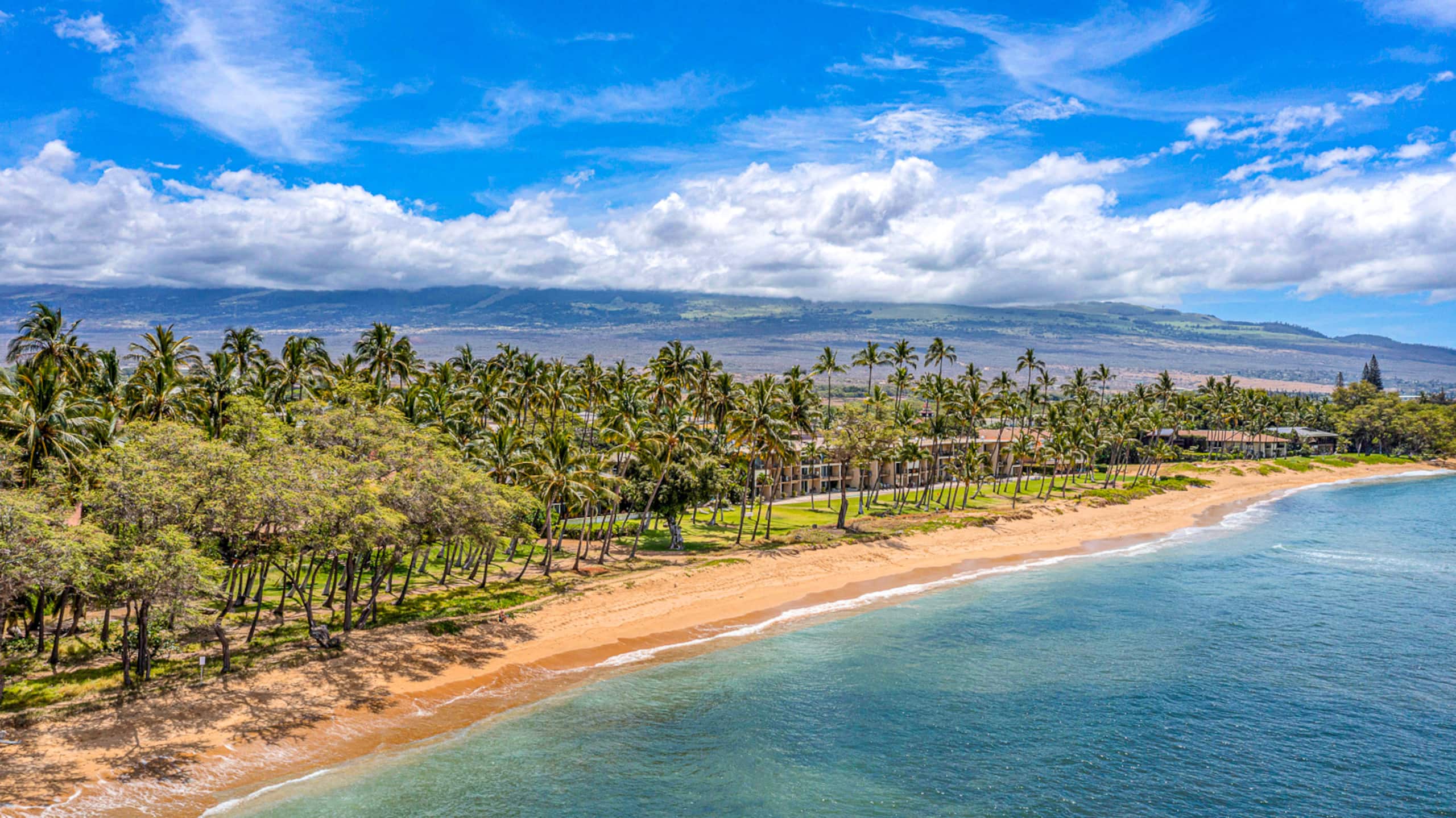 Condo in Kihei · ★4.89 · 1 bedroom · 1 bed · 1 bath - Image 26