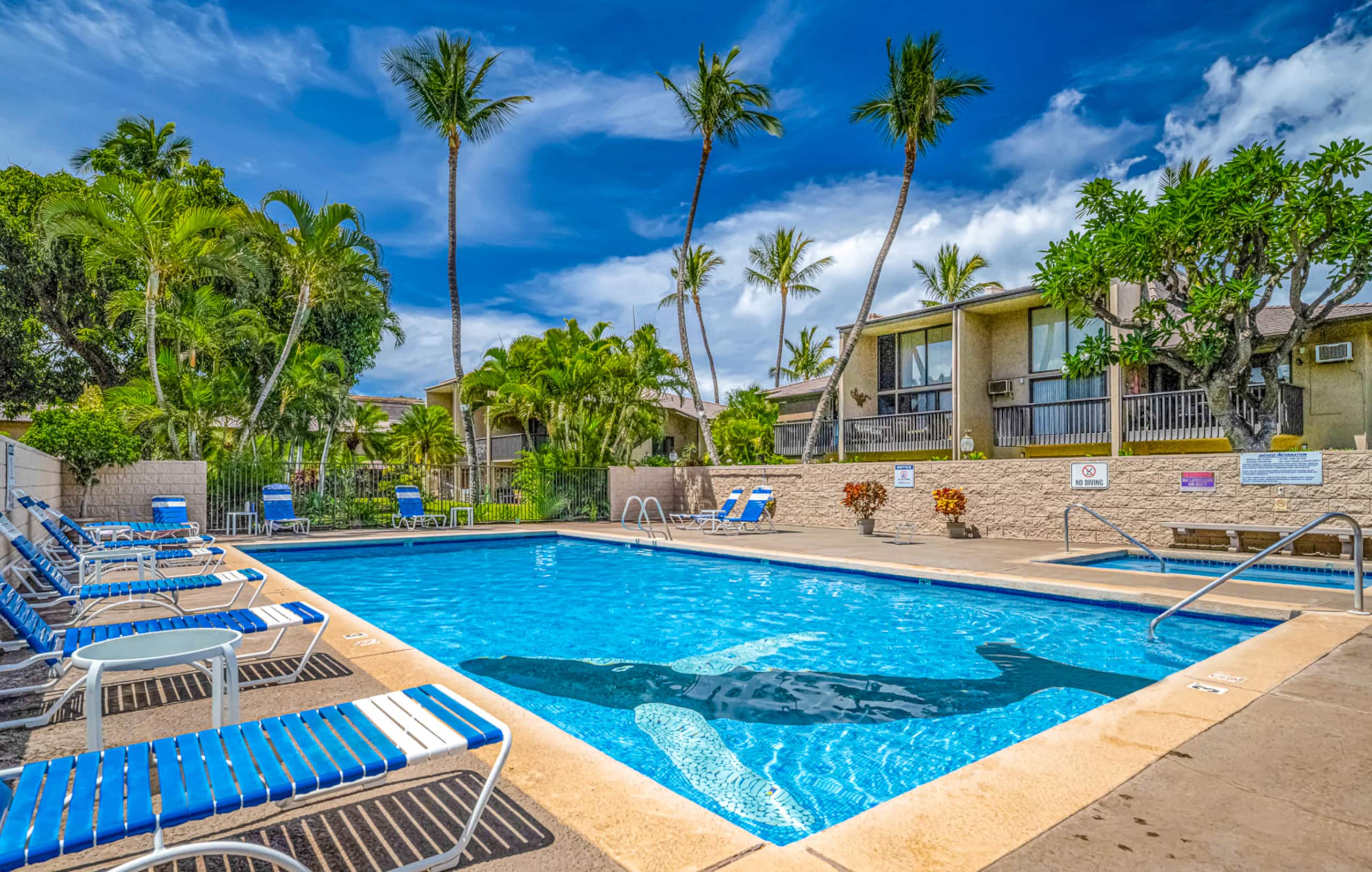 Condo in Kihei · ★4.89 · 1 bedroom · 1 bed · 1 bath - Image 1