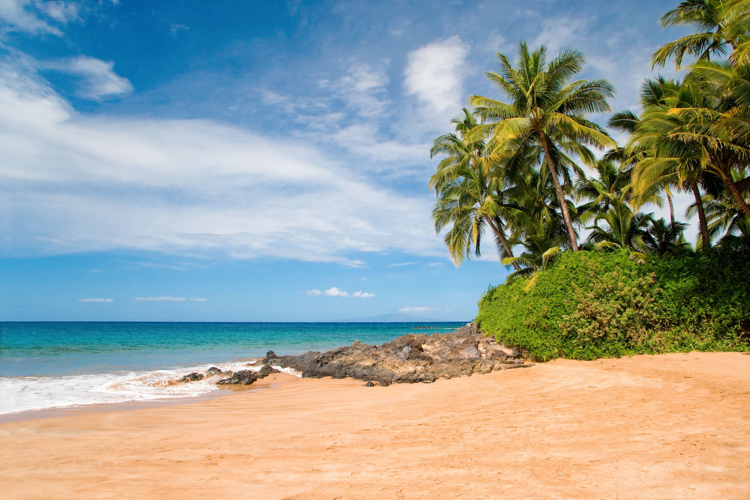 OCEANFRONT, Prestigiously REMODELED Chic Condo** - Image 40