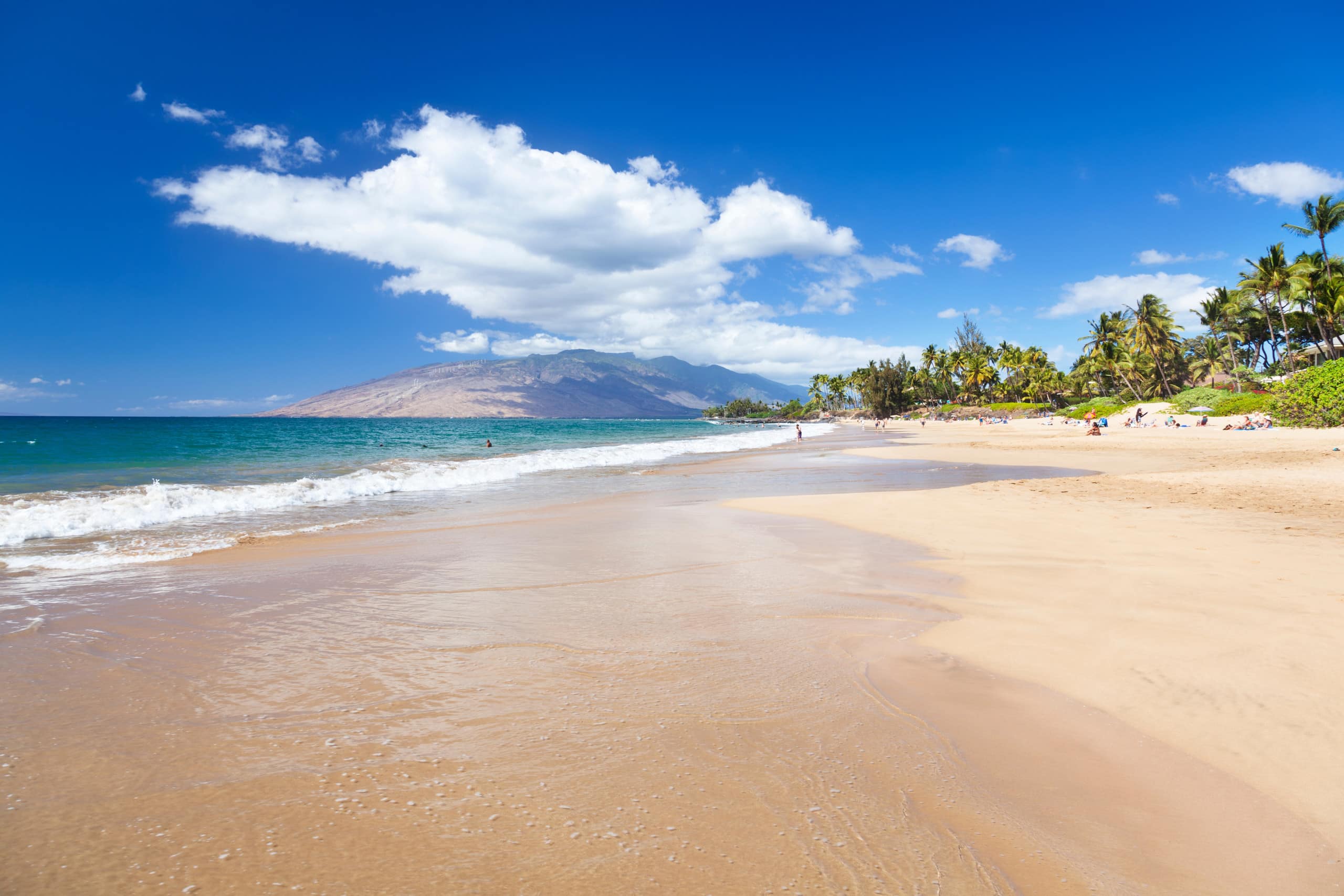 OCEANFRONT, Prestigiously REMODELED Chic Condo** - Image 52