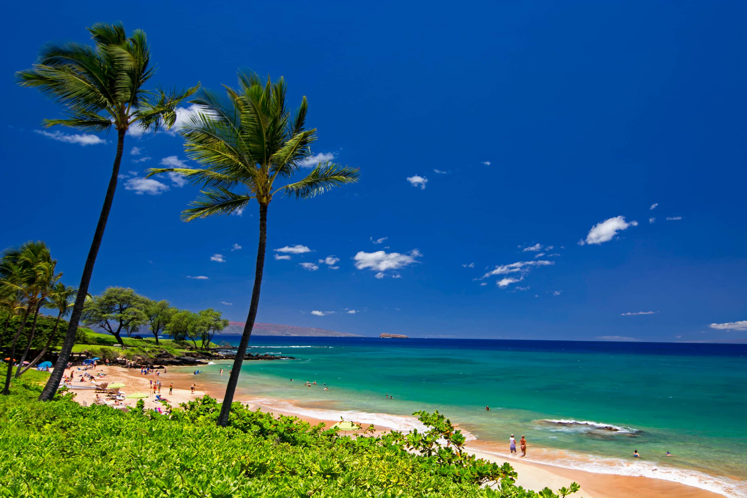 OCEANFRONT, Prestigiously REMODELED Chic Condo** - Image 47