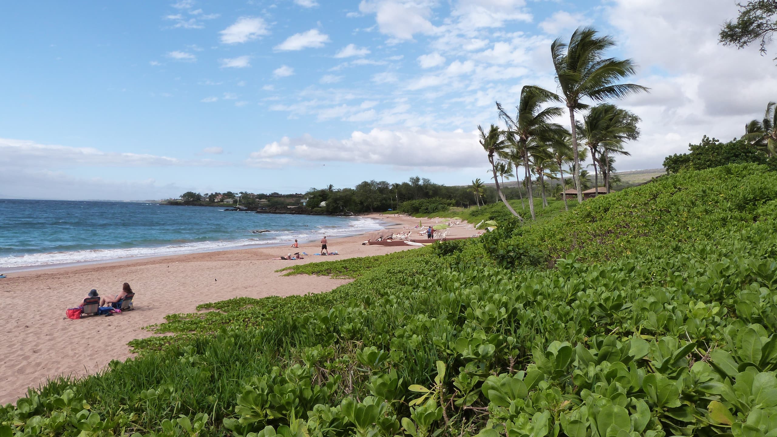 OCEANFRONT, Prestigiously REMODELED Chic Condo** - Image 51