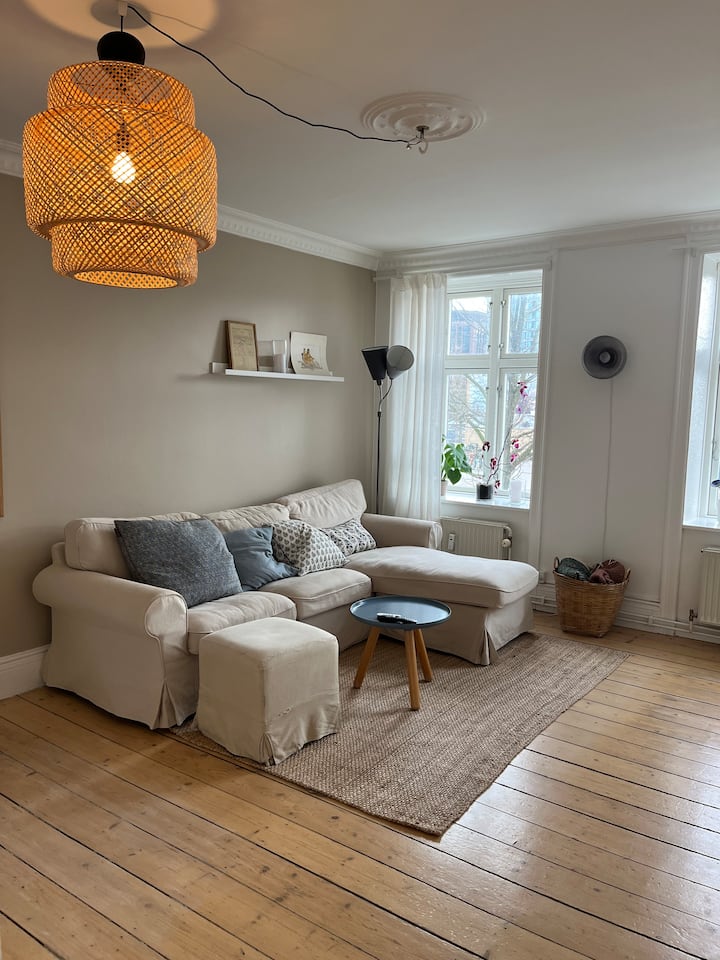Stor Lejlighed I Hjertet Af København - Copenhagen